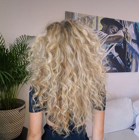 Curly White Blonde Hair, Blonde Shag Curly, Cool Blonde Curly Hair, 2c Blonde Hair, 2b Blonde Hair, Platinum Curly Hair Natural Curls, Curly Long Blonde Hair, Blonde Curls Natural, Blonde Natural Curly Hair