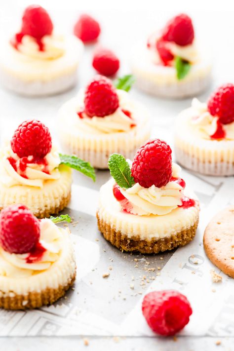 Try these super easy, small batch mini cheesecakes from Anna Banana Co! These wonderfully creamy, bite-size treats are ideal when you fancy a dessert but don't want to bake a whole cake! Simple ingredients and minimal baking time! #dessert #minicheesecake #cheesecake Mini Cheesecakes Easy, Individual Cheesecakes, Anna Banana, Digestive Biscuits, Raspberry Cheesecake, Cheesecake Bites, Meringue Pie, Mini Cheesecakes, Lemon Meringue