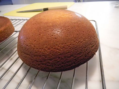 Who Says You Have to Bake a Cake in a CAKE Pan? Spherical Cake Ideas, Diy Golf Ball Cake, How To Make A Dome Cake, Cake Pans Shaped, How To Make A Round Cake, Dome Cake Ideas, Cake Shapes Ideas, Golf Ball Cake, Round Birthday Cakes