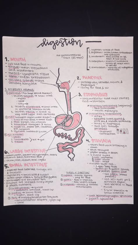 Medical Terminology Study, Biochemistry Notes, Nursing School Essential, Medicine Notes, Basic Anatomy And Physiology, Nurse Study Notes, Biology Facts, Medical Student Study, High School Survival