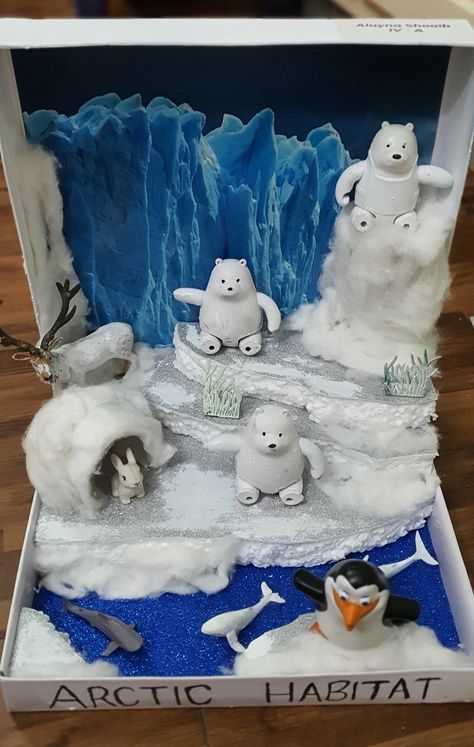 Artic Animal Diarama, Artic Diorama For Kids, Artic Habitat Project For Kids, Animal Diorama, Polar Activities, Rainforest Crafts, Habitat Project, Arctic Habitat, Winter Science Activities