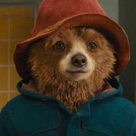 Paddington Film, Family Friendly Movies, Choose Your Fighter, Romper Room, Rhinestone Cowboy, His Dark Materials, Important Message, Paddington Bear, Cultural Differences