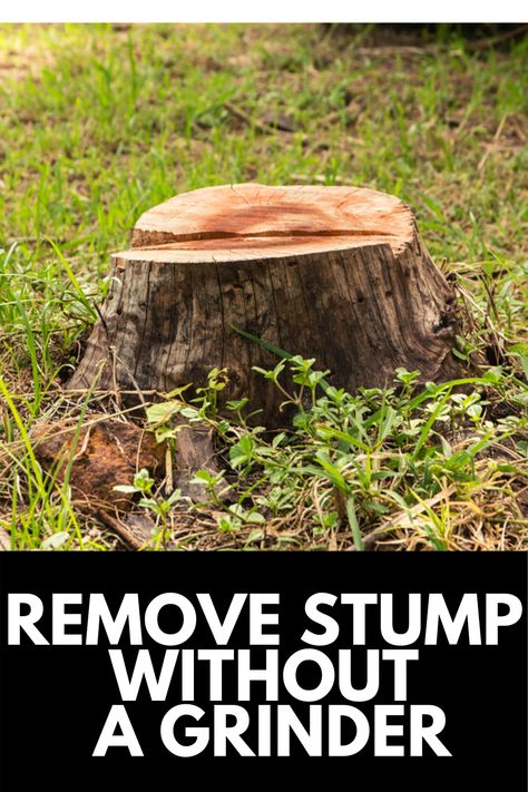 If you have an unsightly tree stump in your yard, you may be wondering how to get rid of it. A grinder is the easiest way, but can be expensive AND dangerous. Here, we provide a guide on how to remove a tree stump WITHOUT a grinder! Read more at OwnTheYard.com! Tree Stump Grinder, Tree Root Removal, Kill Tree Stump, Stump Out, Tree Stumps Diy, Removing Tree Stumps, Stump Grinder, Small Yard Landscaping, Stump Removal