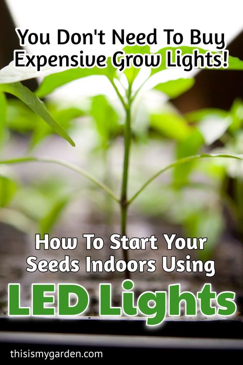 How To Use Grow Lights For Seedlings, Using Grow Lights For Indoor Plants, Grow Light Set Up Seed Starting, Led Lights For Plants, Grow Light Garden, Grow Lights Setup, Best Grow Lights Indoor Gardening, Garden Seed Starting Indoor, How To Use Grow Lights For Indoor Plants