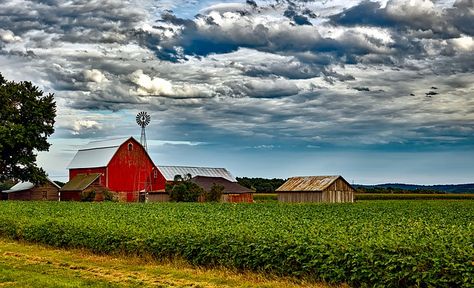 Wisconsin Landscape Scenic - Free photo on Pixabay Scary Nature, Midwest Vacations, Walkable Community, Gone Hunting, Wisconsin Vacation, Calming Nature, Fork In The Road, Travel Wisconsin, Beginner Gardening