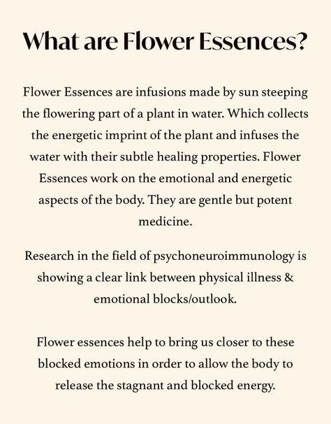 Flower Essences Remedies, Plant In Water, Bloom Box, Bach Flower Remedies, Medical Herbs, Flower Remedy, Essential Oils Health, Herbal Apothecary, Energy Healing Spirituality