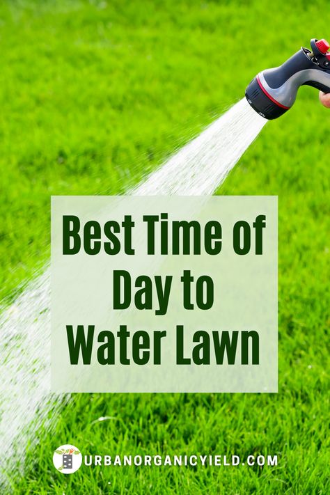 Crabgrass Removal Lawn Care, Green Lawn Tips Yards, How To Aerate Your Lawn Diy, Grub Control In Lawns, Lawn Fertilizer Schedule, Summer Lawn Care, Lawn Maintenance Schedule, Lawn Care Diy, Aerating Your Lawn