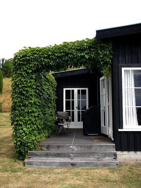 Love a creeping vine... Especially when paired with black & white. Black Houses, Pintura Exterior, Black Barn, Casa Exterior, Design Exterior, Black House Exterior, Black Exterior, House Designs Exterior, Exterior Paint