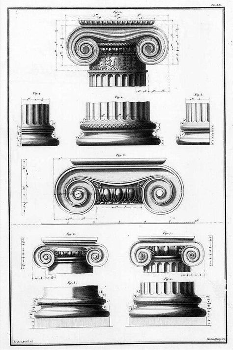 A volute is a spiral scroll-like ornament that forms the basis of the Ionic order, found in the capital of the Ionic column. It was later incorporated into Corinthian order and Composite column capitals. Corinthian Order, Ionic Order, Architecture Antique, Architectural Orders, Ionic Column, Architectural Columns, Istoria Artei, Roman Columns, Ancient Greek Architecture