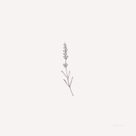 Lavender Illustration, Lilac Tattoo, Tiny Flower Tattoos, Lavender Tattoo, Wildflower Tattoo, Small Flower Tattoos, Dainty Tattoos, Little Tattoos, Simplistic Tattoos