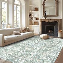 Green Blue Decor, Blue And Green Living Room, Rugs Boho, Farmhouse Area Rugs, Carpet For Living Room, Room Color Schemes, Coastal Living Room, Boho Area Rug, Living Room Green