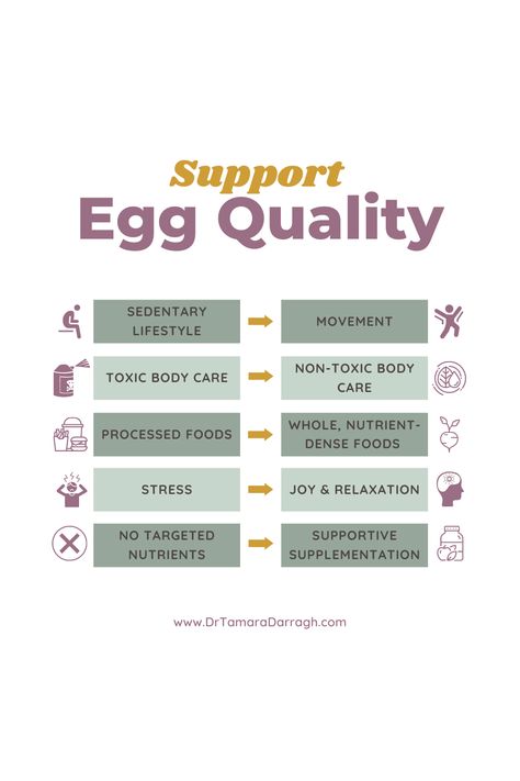 How Do I Support Egg Quality When I'm Trying To Conceive? | Dr. Tamara Darragh | Fertility | There are simple changes you can make day-to-day to supercharge egg quality for fertility whether you're trying naturally or doing IVF or IUI. Try making one shift at a time! Over a few weeks to a month you'll be amazed at all you have done! Check out my fertility blog for more support on your journey. #fertility #infertility #IVF #IUI It Starts With The Egg Fertility Recipes, Egg Health Fertility, Egg Quality Fertility Improve, Ivf Process Step By Step, Improve Egg Quality Fertility, Letrozole Fertility Success, Letrozole Fertility, Egg Retrieval, Fertility Support