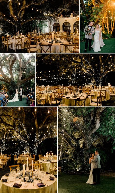 Magical Garden Fairytale Wedding at Villa Woodbine in Florida #magicalweddinglights #weddinglightsreception #hangingweddinglights #gardenweddinglights #enchantedgardenwedding #secretgardenwedding Fair Garden Wedding, Botanical Garden Wedding Florida, Whimsical Enchanted Forest Wedding, Whimsical Fairytale Wedding Theme, Enchanted Forest Wedding Venue Fairytale, Nighttime Forest Wedding, Forest Wonderland Wedding, Fairytale Woods Wedding, Fairytale Whimsical Wedding