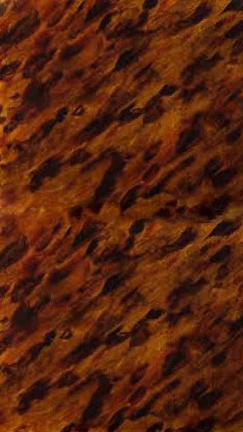 Tortoise Shell Background, Tortoise Shell Wallpaper, Scale Skin, Tailored Skirt, Turtle Shell, Tortoise Shell, Colour Palette, Tortoise, Brown Sugar