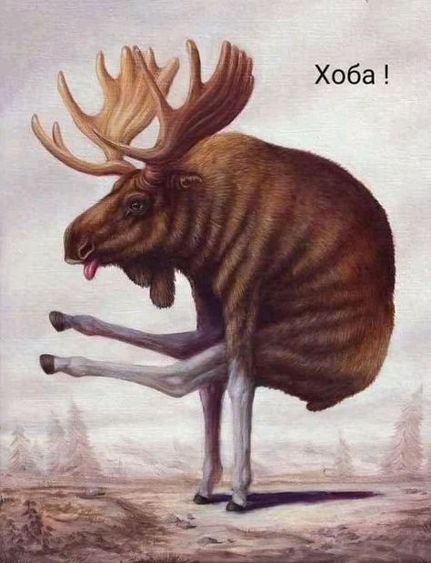 Pin by Yuliya Rekun on ЮморОK | Surreal art, Animal paintings, Bizarre animals Bruno Pontiroli, Acrobatic Poses, Moose Painting, Bizarre Animals, Photo Realism, Colossal Art, 3d Drawings, Platypus, French Artists