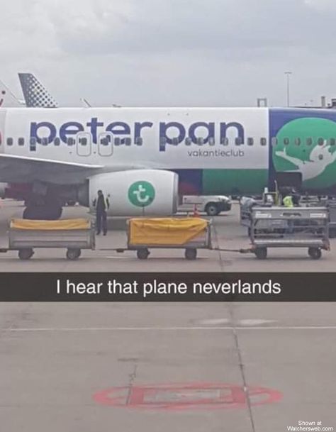 Peter Pan Airlines Airplane Meme, Plane Memes, Pilot Humor, Aviation Humor, Bad Humor, Funny Car Memes, Very Funny Pictures, Disney Memes, Funny Puns