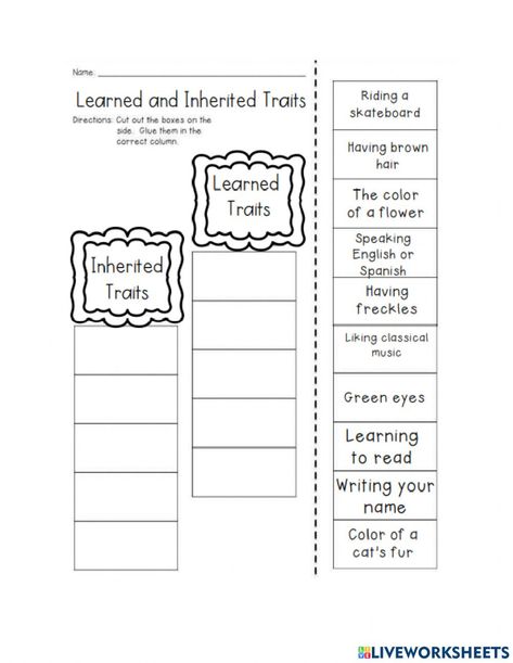 Inheritance And Traits For 3rd Grade, Inherited Traits, States Of Matter Worksheet, Excretory System, Matter Worksheets, Worksheets For Grade 3, Learned Behaviors, Female Reproductive System, Force And Motion