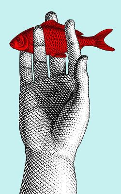 Fish in the hand Illustration Tumblr, Piero Fornasetti, Hand Images, Inspirational Art, Red Fish, Fish Art, Mail Art, 로고 디자인, A Drawing