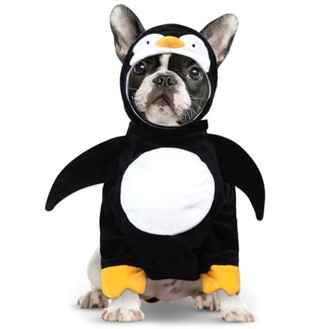 cyeollo Penguin Dog Costumes Halloween Dog Cosplay Pet Funny Outfits Cute Party Clothes for Small Dogs Dog Costumes Halloween, Penguin Halloween Costume, Dog Lion Costume, Boston Terrier Halloween, Halloween Costumes For Dogs, Dog Cosplay, Funny Pet Costumes, Costumes For Dogs, Penguin Costume