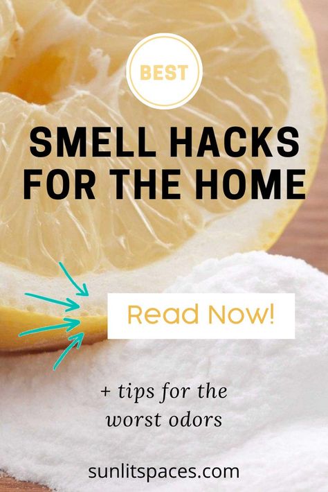 Smell Hacks For Home: Cleaning,tips - sunlitspaces.com Smell Hacks For Home, Citrus Potpourri, Clean House Smell, Cinnamon Smell, Hacks For Home, Cleaning Your Dishwasher, Citrus Smell, Smelling Good, House Smell Good