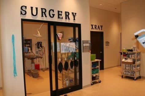 Vet Clinic Layout, Veterinary Storage, Vet Office Decor, Surgery Room, Veterinarian Office, Pet Shelter, Vet Hospital, Large Animal Vet, Vet Office