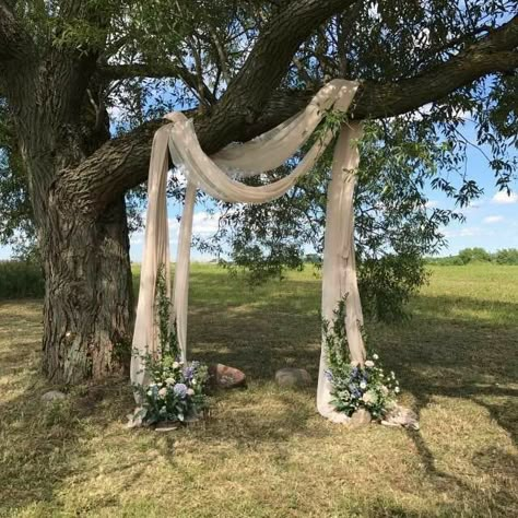 Tree Arches Wedding, Small Outdoor Boho Wedding, Alternative Arches For Wedding, Outdoor Fall Micro Wedding, Nature Wedding Arch, Tree Backdrop Wedding, Photo Area For Wedding, Tree Wedding Arch, Tree Wedding Ceremony