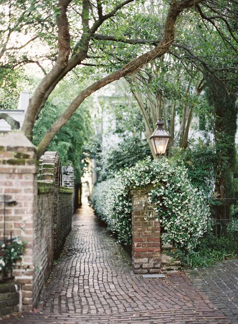 You Have To See These 15 Photos Of Charleston In Bloom - Explore Charleston Blog Charleston Gardens, Garden Sink, Garden Design Plans, Moon Garden, Magnolia Trees, Farm Gardens, Outdoor Landscaping, Garden Styles, Garden Paths