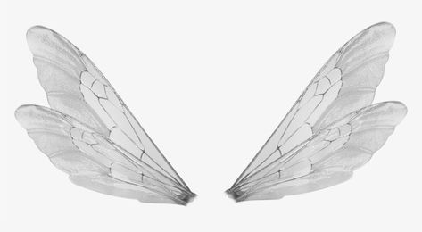 Cloud9 (구름아홉) | Farai's 25th Winx Themed Bday Outfit | ShopLook Male Fairy Wings, Fairy Wings Png, White Fairy Wings, Fairy Wings Drawing, Tinkerbell Wings, Fairy Wing Tattoos, Green Fairy Wings, Male Fairy, Wings Png