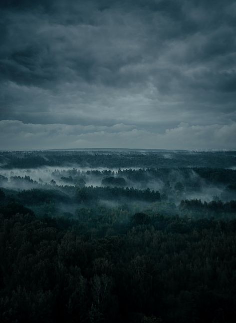 green grass field near sea under gray clouds photo – Free Grey Image on Unsplash 3d Wallpaper Iphone Dark, Grey Scenery, Iphone Wallpaper Nasa, Cool Wallpapers For Your Phone, Gray Clouds, 3d Wallpaper Iphone, Foggy Forest, Wallpapers For Iphone, Home Office Living Room