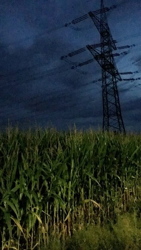 Cornfield At Night, Creepy Cornfield, Midwest Punk, Cornfield Aesthetic, Fools Journey, Colorful Art Projects, Halloween Rave, Rock Club, Gothic Photography