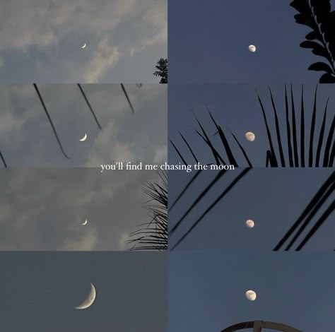 Night Instagram Story Aesthetic, Moon And Star Quotes, Moon Nature, One Word Instagram Captions, Sunset Quotes Instagram, Sky Quotes, Desain Quilling, Sky Photography Nature, Story Ideas Pictures