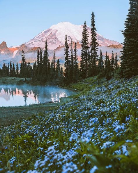 Wildflowers in the west coast. 🪻🌷🌸 Photos by @jhamilbader #takemoreadventures #washington #oregon #nationalpark #pnw #wilderness #adventure #mountains #outdoors #earthfocus #lake #hikingadventures #stayandwander #beautifuldestinations Pnw Aesthetic, Oregon Pictures, Washington Mountains, More Adventures, Lake Photography, Mountain Photos, Architecture Concept Drawings, Landscape Photography Nature, Mountain Photography