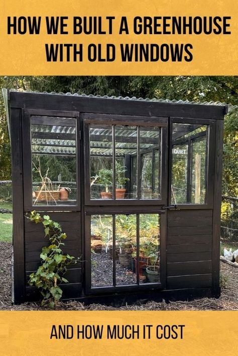 Mountain Greenhouse, Greenhouse With Old Windows, Upcycled Greenhouse, Old Window Greenhouse, Building A Greenhouse, Simple Greenhouse, Greenhouse Diy, Window Greenhouse, Greenhouse Design