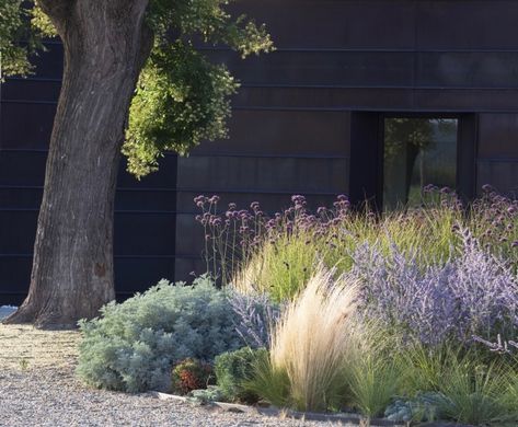 Gossamer Gardens: 12 Ideas for Landscaping with Mexican Feather Grass - Gardenista Grass Garden Design, Grass Garden, Garden Grass, Drought Tolerant Garden, Meadow Garden, Garden Design Layout, Grasses Garden, Garden Design Ideas, Landscape Designs