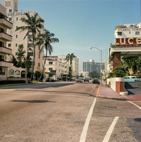 1964. "Collins Avenue, Miami Beach." With the Ocean Spray Hotel representing the Art Deco old guard and the curvy Fontainebleau the new. Collins Avenue Miami, 80s Miami, Old Miami, Miami Trip, Vintage Miami, Taylor Jenkins Reid, Vice City, Ocean Spray, Miami Beach Florida