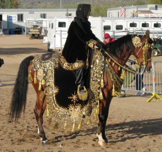 Arabian Costumes, Arabian Horse Costume, Aesthetic History, Native Costume, Arabian Costume, Arab Horse, Alien Clothes, Horse Reference, Beautiful Horses Photography