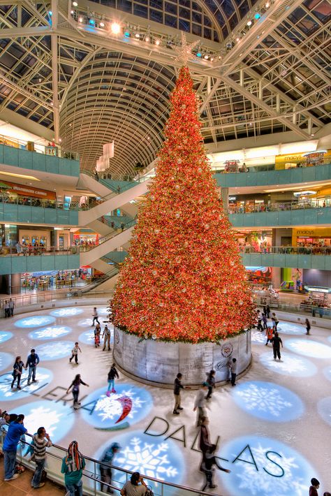 Dallas Galleria Mall, Dallas Christmas, Dallas Things To Do, Mall Christmas, Richardson Texas, Galleria Mall, Texas Christmas, Loving Texas, Ice Rink