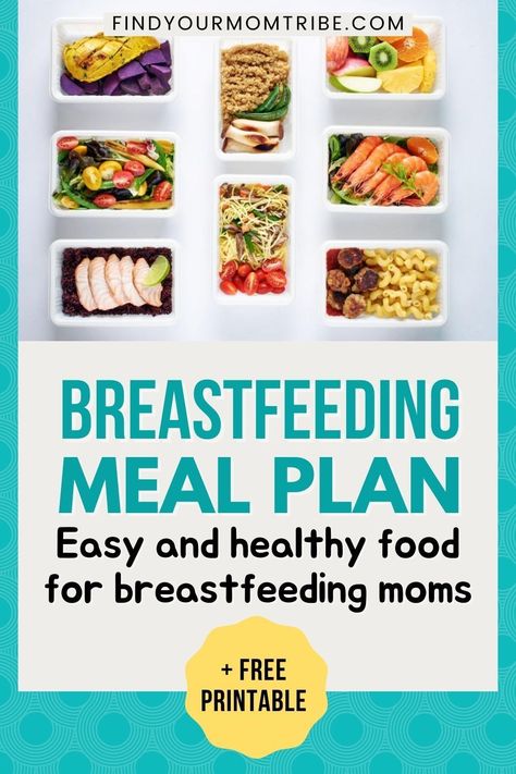 Nursing Recipes, Breastfeeding Meals, Breastfeeding Meal Plan, Postpartum Nutrition, Food For Breastfeeding Moms, Dieting While Breastfeeding, Milk Truck, Breastfeeding Snacks, Dairy Free Breastfeeding