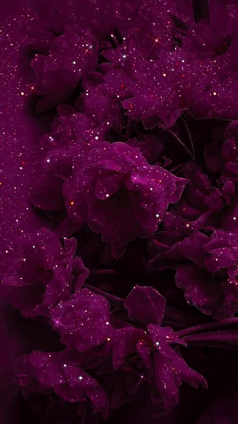 Purple And Magenta Aesthetic, Dark Red Pink Aesthetic, Dark Pink Background Aesthetic, Dark Pink Color Background, Purple And Red Wallpaper, Magenta Aesthetic Wallpaper, Dark Magenta Wallpaper, Dark Pink Wallpaper Iphone, Pink Vampire Aesthetic