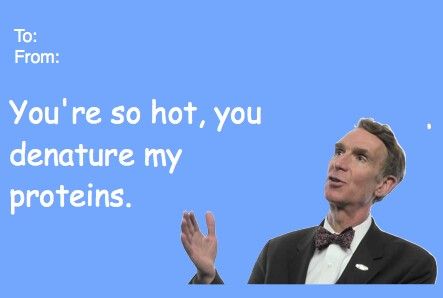 Nerdy Valentines Cards, Silly Valentines Cards, Pick Up Line Memes, Funny Valentines Cards For Friends, I Hate Valentine's Day, Bad Valentines Cards, Friend Valentine Card, Silly Valentines, Nerdy Valentines