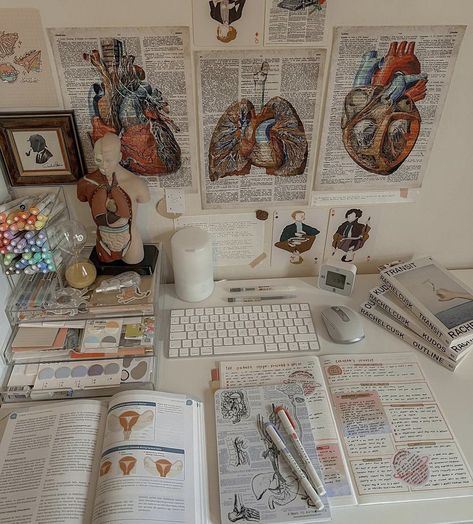 Study Room Medical Student, Surgical Instruments Aesthetic, Studying Aesthetic Medical, Medical Work Aesthetic, Medical Studying Aesthetic, Medical Desk Decor, Dark Academia Aesthetic Medicine, Vision Board Medical School, Medical Academia Aesthetic