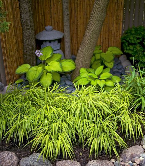 Asian Garden Backyard, Japanese Garden Ideas, Japanese Maple Garden, Japanese Garden Backyard, Minnesota Garden, Japanese Garden Plants, Small Japanese Garden, Japanese Style Garden, Japanese Garden Landscape