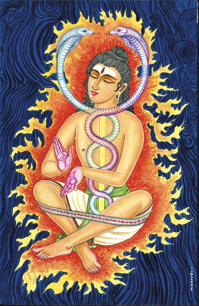 Kundalini Awakening Art, Hata Yoga, Awakening Art, Yoga Facts, Yoga Kundalini, Kundalini Awakening, Buddhist Meditations, Chakra Yoga, The Hindu