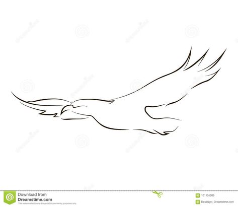 Illustration about Flying black line eagle on white background. Hand drawing vector graphic. Illustration of wild, speed, animal - 101155209 Eagle Simple Tattoo, Simple Bald Eagle Tattoo, Eagle Tattoo Small Simple, Fine Line Animal Drawing, One Line Eagle Tattoo, Simple Eagle Tattoos For Women, Simple Eagle Drawing, Eagle Line Tattoo, Small Eagle Tattoo Woman