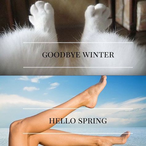 Happy first day of spring! 😂🌵🌸🌷 #Janessence #Meme Waxing Memes, Waxing Tips, Coconut Oil Beauty, Tanning Skin Care, Waxing Salon, Best Tanning Lotion, Caught Out, Tanning Tips, At Home Hair Removal