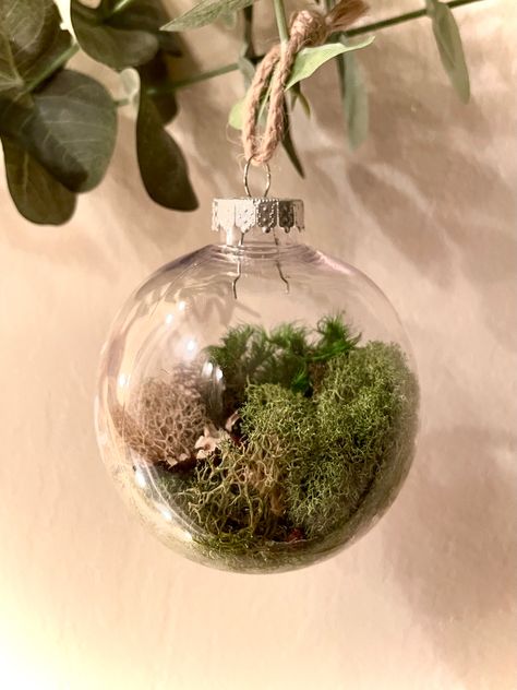 Terrarium Christmas Ornaments Diy, Moss Ornaments, Nature Curriculum, Moss Christmas, Diy Resin Flowers, Culture Crafts, Clear Plastic Ornaments, Clear Christmas Ornaments, Cultural Crafts