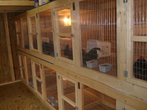 Poultry Breeding Pens, Bantam Chicken, Poultry Breeds, Chicken Brooder, Chicken Barn, Bantam Chickens, Chicken Pen, Backyard Chicken Coop Plans, Backyard Chicken Farming