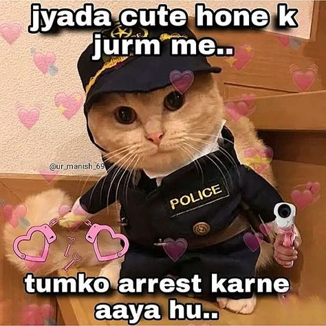 Mood Tweets, Chat Memes, Funny Flirting Quotes, Gaming Profile Pictures, Cat Text, Funny Cartoon Images, Funny Compliments, Funny Flirty Quotes, Lame Jokes