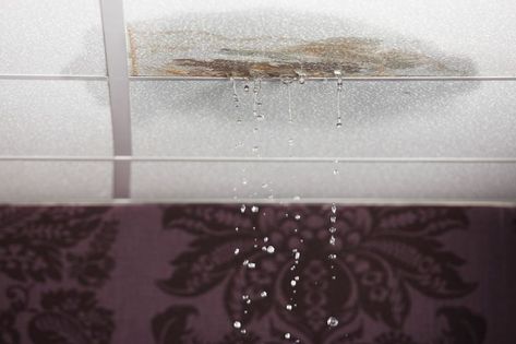 Leaking ceiling Ceiling Leak, Roof Leak Repair, Wet Basement, Roof Restoration, Water Damage Repair, Mold Remediation, Leak Repair, Plumbing Problems, Roofing Contractors