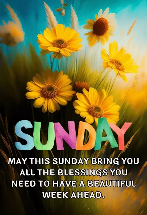 Sunday-Blessings-2.webp 576×840 pixels Happy Sunday Messages, Blessed Sunday Morning, Blessed Sunday Quotes, Morning Sunday Images, Happy Sunday Images, Good Morning Sunday Images, Happy Sunday Morning, Sunday Morning Quotes, Good Sunday Morning